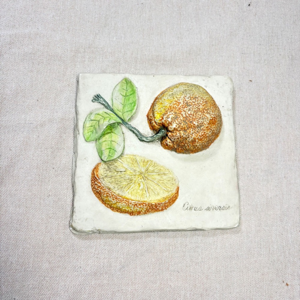 VTG Hen-Feathers Citrus Orange Botanical 3D Relief Wall Plaque 5.5in Farmhouse
